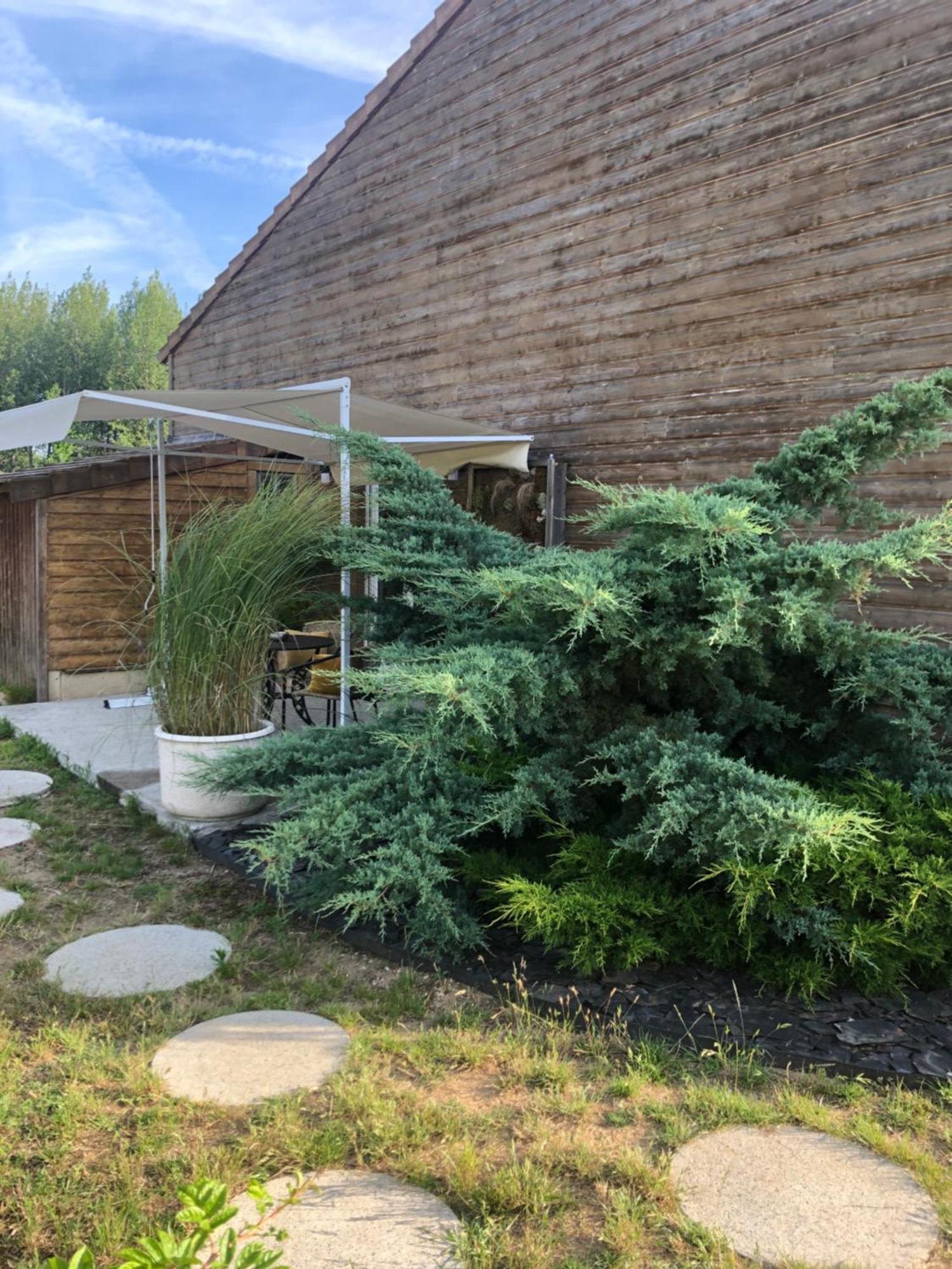 Studio Guécélard Exteriör bild